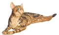 LAYING, BROWN, CAT