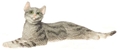 LAYING CAT, GRAY