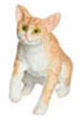 Dollhouse Miniature Grabbing, Orange, Cat