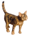 WALKING, BROWN, CAT