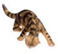 Dollhouse Miniature Cat Licking Water, Brown
