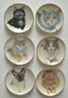 Dollhouse Miniature 6 Cat Head Plates