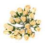 Dollhouse Miniature Rose, 2 Dozen, Half Bloom, Peach