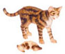 Dollhouse Miniature Mamma Cat & Baby, Br &Sb