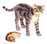 Dollhouse Miniature Mamma Cat & Baby, Grey & Br