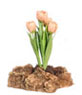 Dollhouse Miniature Tulips Plant On The Rock, Pc