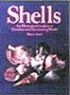 Dollhouse Miniature Shell Book