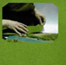 Dollhouse Miniature Grass/Astro Turf 18In X 27In