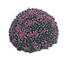 Dollhouse Miniature Blossom Bush 1-1/2In Purple 2Pcs