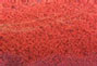 AM10521 - GROUND FOAM: FALL ORANGE FINE, 1 OZ