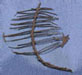 AM40110 - >>TREE STRUCTURE: 5 X 1-1/2, 2/PK