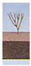 AM40135 - TREE STRUCTURE, 1-1/4 X 1, 6PK