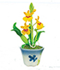 Oncidium Orchid, Yellow