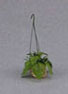 Dollhouse Miniature Hanging Fern Basket