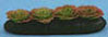 Dollhouse Miniature Red Leaf Lettuce Garden/ 1/2
