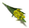 Dollhouse Miniature Gladiolus Yellow, 2 Stem