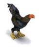 Dollhouse Miniature Rooster