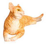 LAYING, ORANGE, CAT