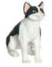 SITTING, BLACK & WHITE, CAT