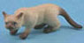 Dollhouse Miniature Cat, Siamese Brown
