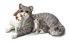 Dollhouse Miniature Grey Mother & Kitten