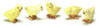 Dollhouse Miniature Little Chics, Set Of 5