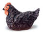 Dollhouse Miniature Hen