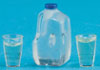 Dollhouse Miniature Water, Gallon with 2 Filled Glasses