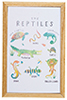 Reptiles Picture