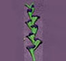 Dollhouse Miniature Gladiolas, Dark Purple, Per Stem