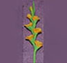 Dollhouse Miniature Gladiolas, Orange, Per Stem