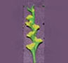 Dollhouse Miniature Gladiolas, Yellow, Per Stem
