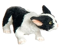 Dollhouse Miniature Stalking, Black & White, Cat