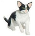 Dollhouse Miniature Grabbing, Black & White, Cat