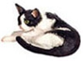 Dollhouse Miniature Licking, Black & White, Cat