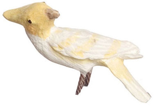 Dollhouse Miniature Lutino Cockatoo