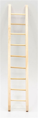 Ladder