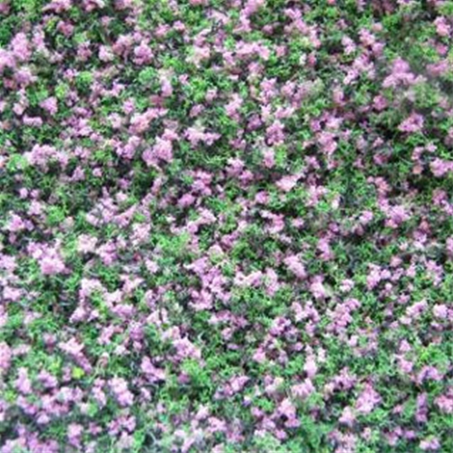 Dollhouse Miniature Garden Growies, Violet