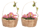 Hand Made Flower Basket, 2 pc.