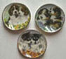 Dollhouse Miniature 3 Puppy Plates