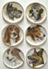 Dollhouse Miniature 6 Large Dog Platters