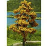 Dollhouse Miniature Tree-Premade 2 In, Autumn, 6Pc