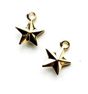 Gold Star Ornament, 2 pkg.