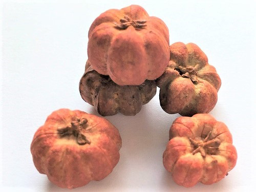 Pumpkins, 6 per package 