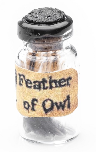 Feather of Owl Potion