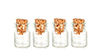 Glass Bottles Set, 4 pc.