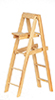 High Stepladder