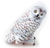 Snowy Owl