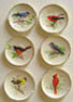 Dollhouse Miniature Bright Bird Plate 6Pcs.