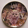 Dollhouse Miniature Cat Montage Platter